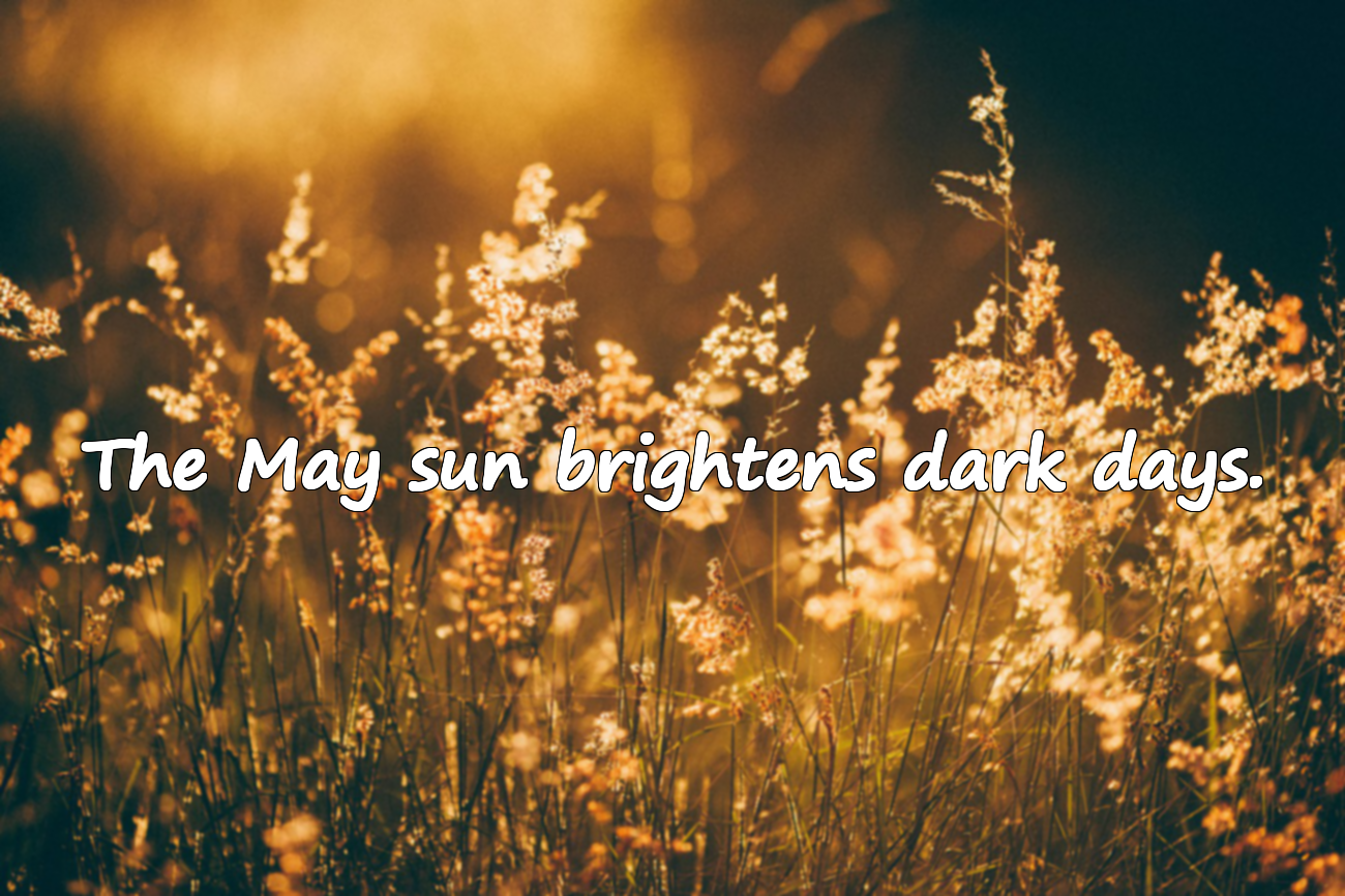 Meaningful Quotes About May