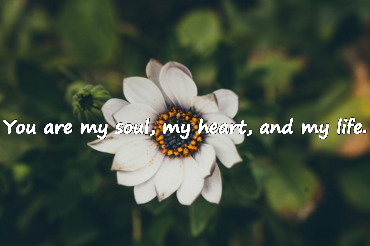 Meaningful Quotes About Mother