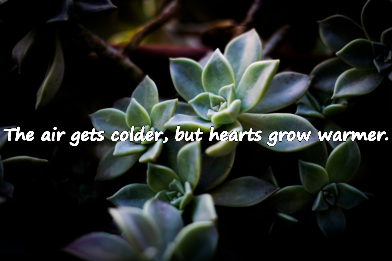 Meaningful Quotes About September