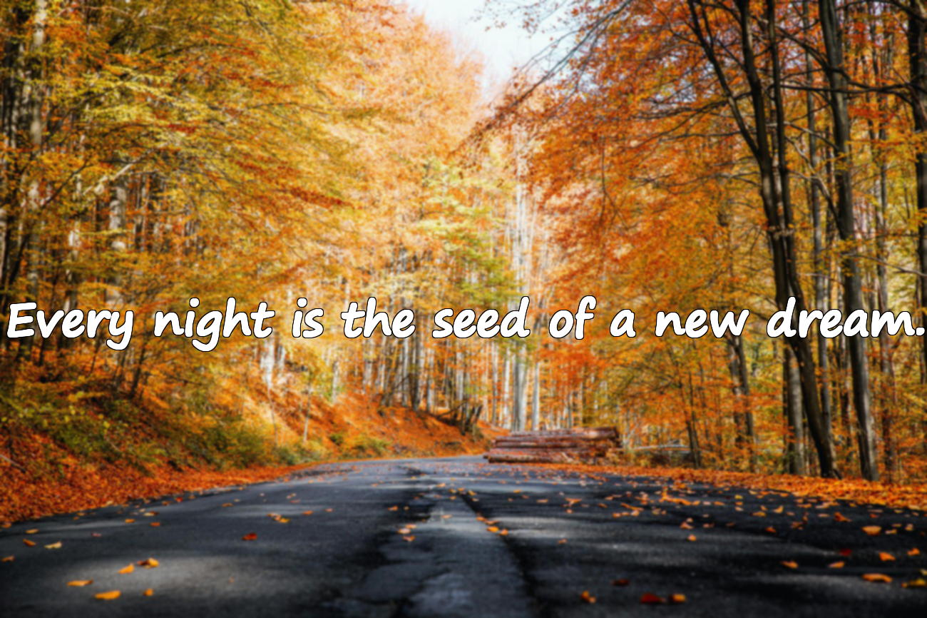 Meaningful Quotes about Night