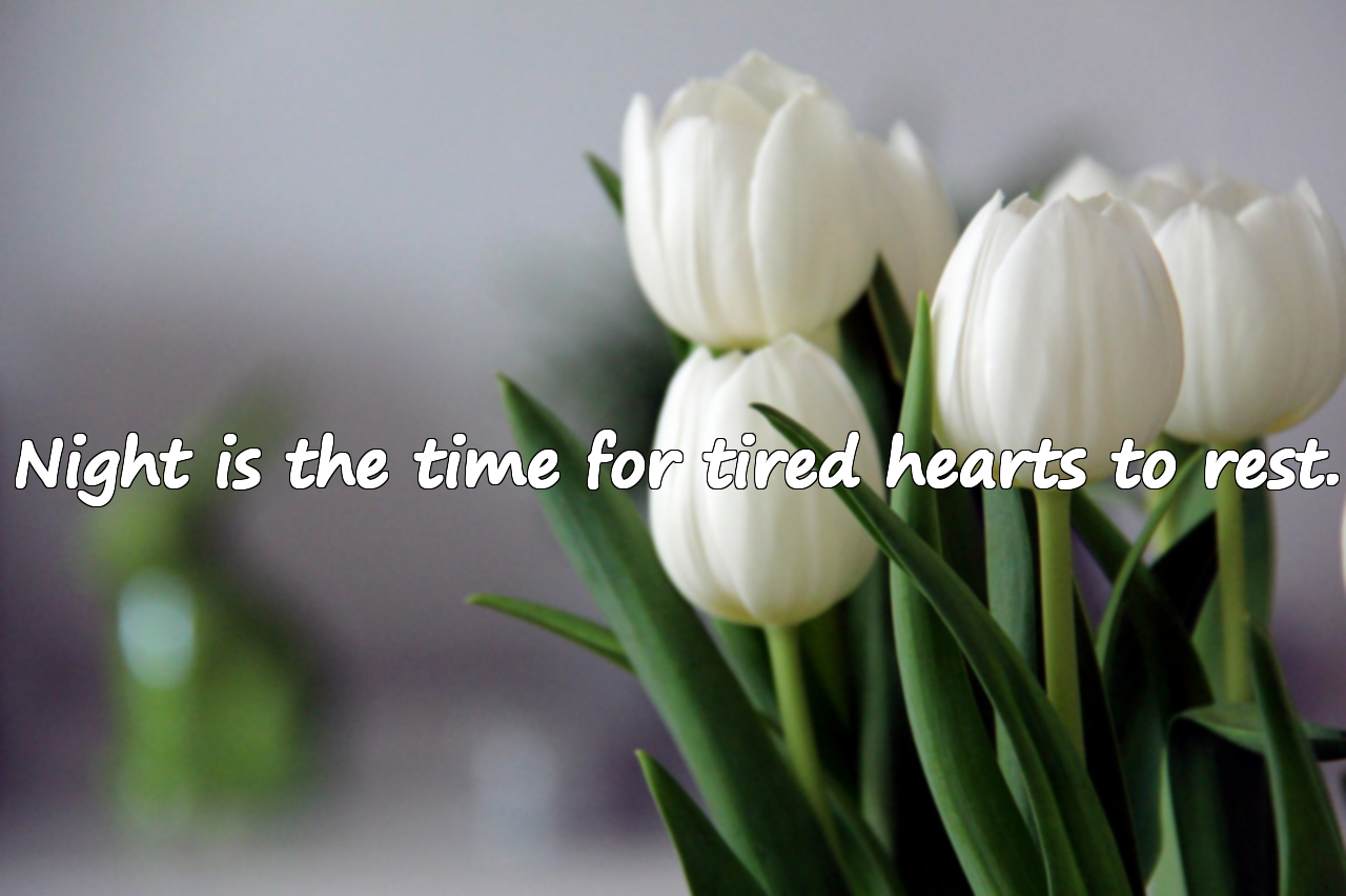Meaningful Quotes about Night
