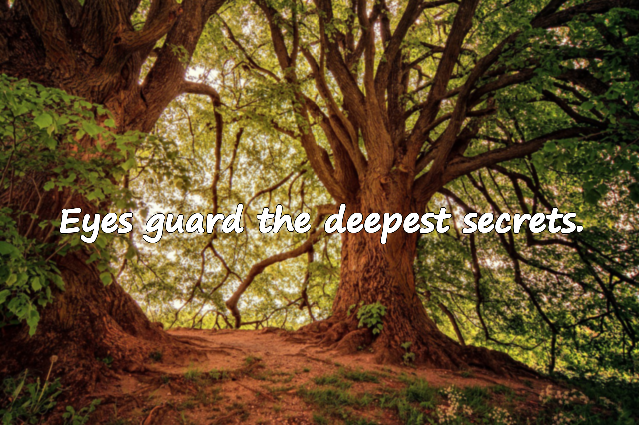 Meaningful and Beautiful Quotes About Eyes