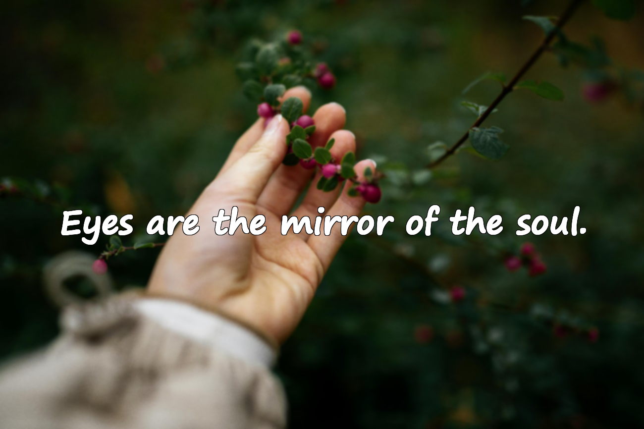 Meaningful and Beautiful Quotes About Eyes
