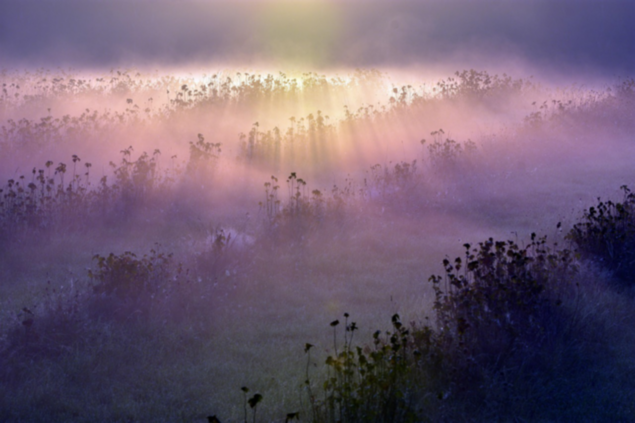 Meaningful and Beautiful Quotes About the Sky