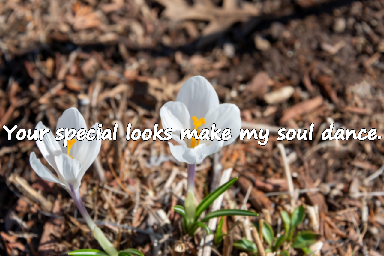 Meaningful and Complimenting Quotes About Eye Contact