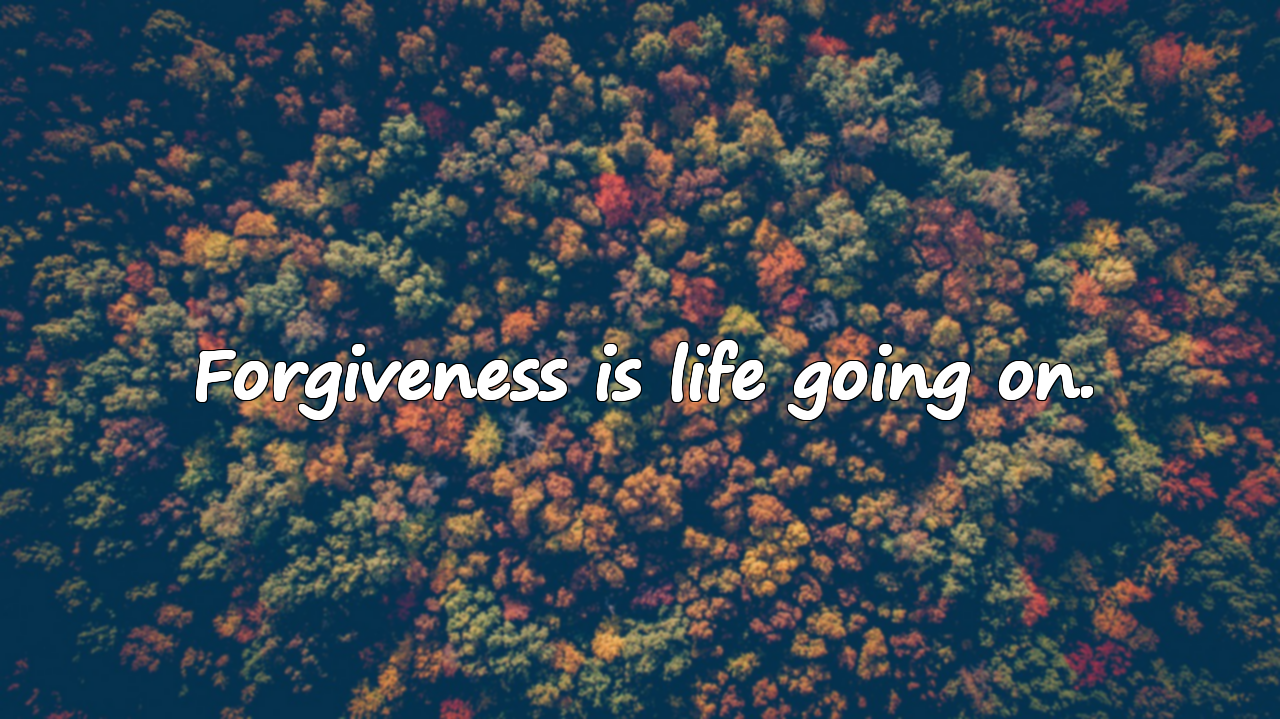 Meaningful and Emotional Quotes About Forgiveness