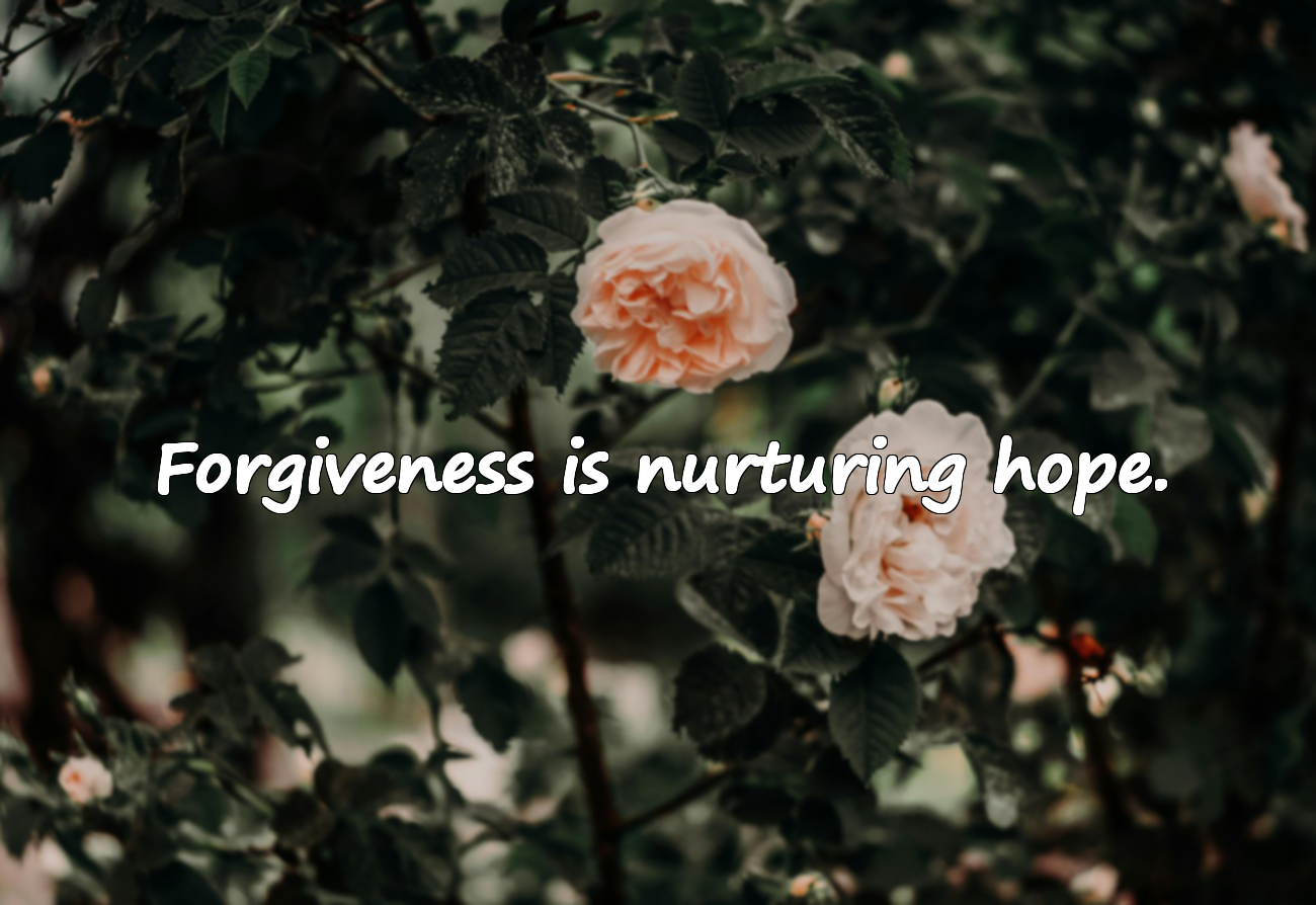 Meaningful and Emotional Quotes About Forgiveness