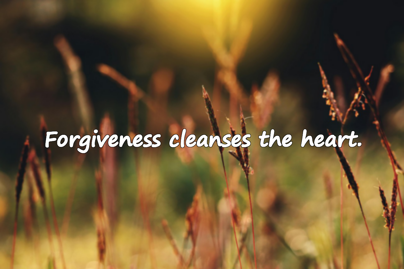 Meaningful and Emotional Quotes About Forgiveness