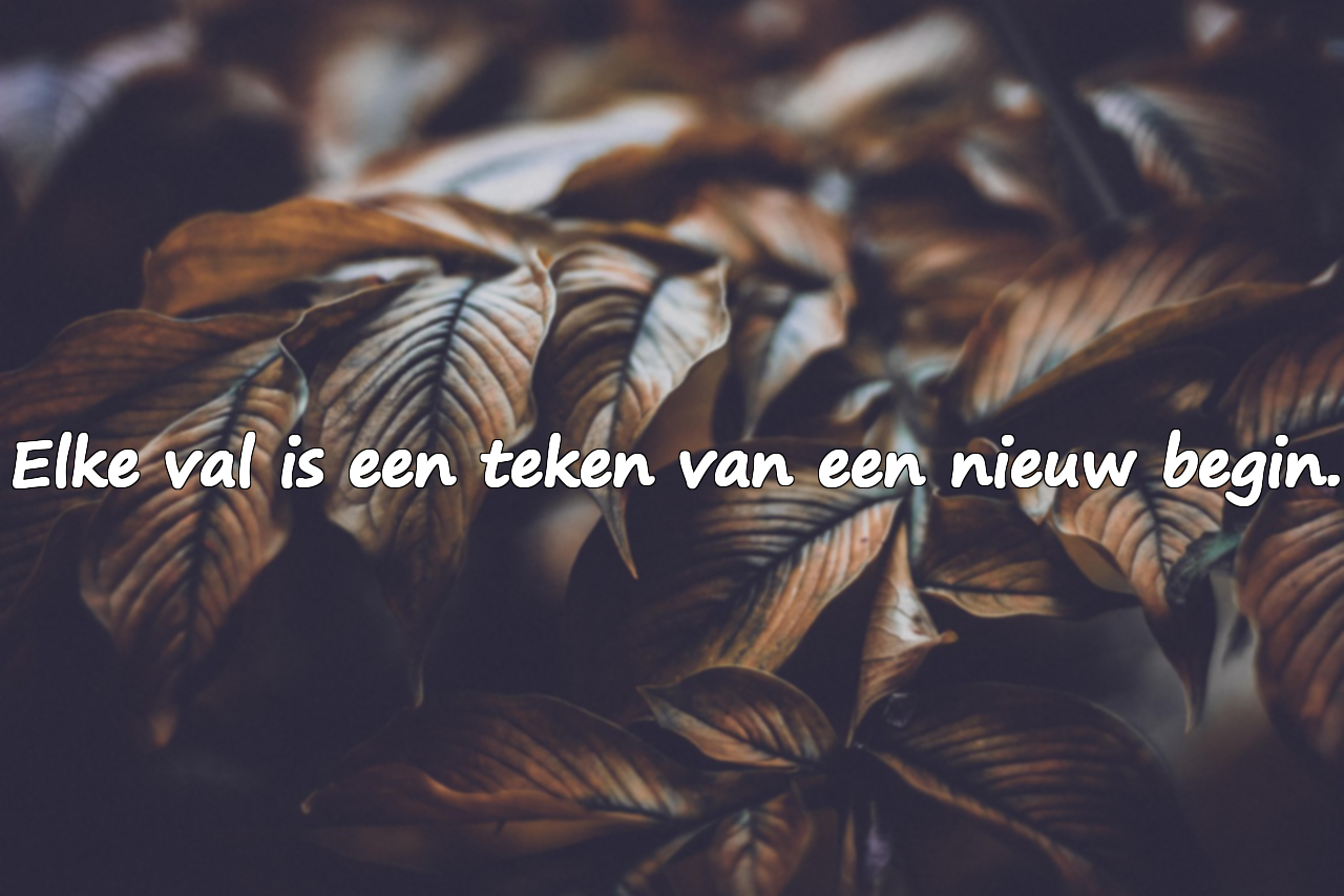 Meer over vallen