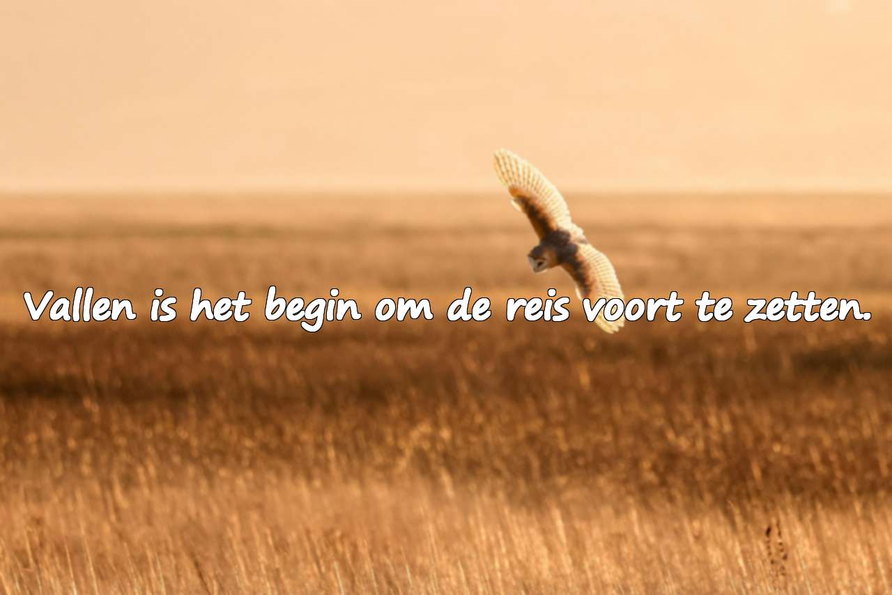 Meer over vallen