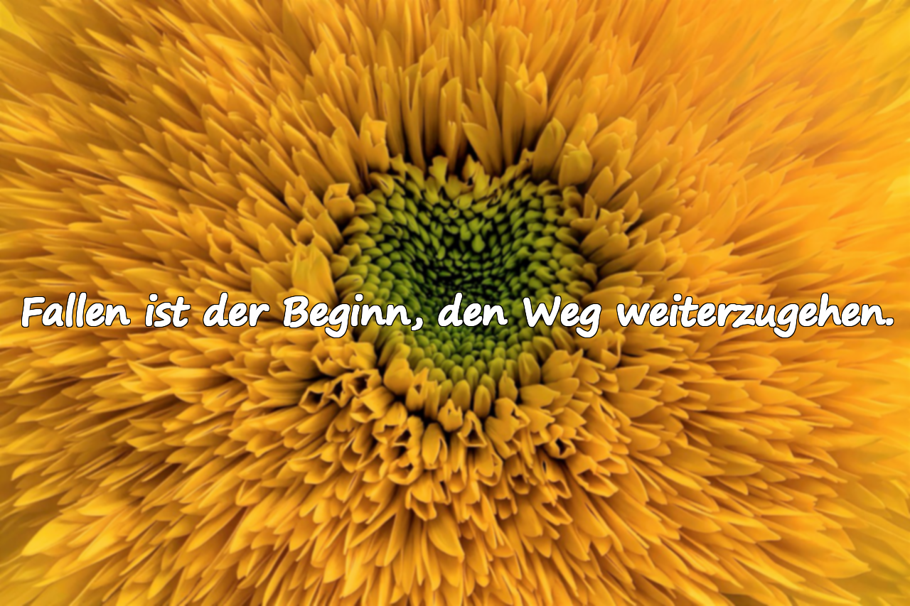 Fallen ist der Beginn, den Weg weiterzugehen.