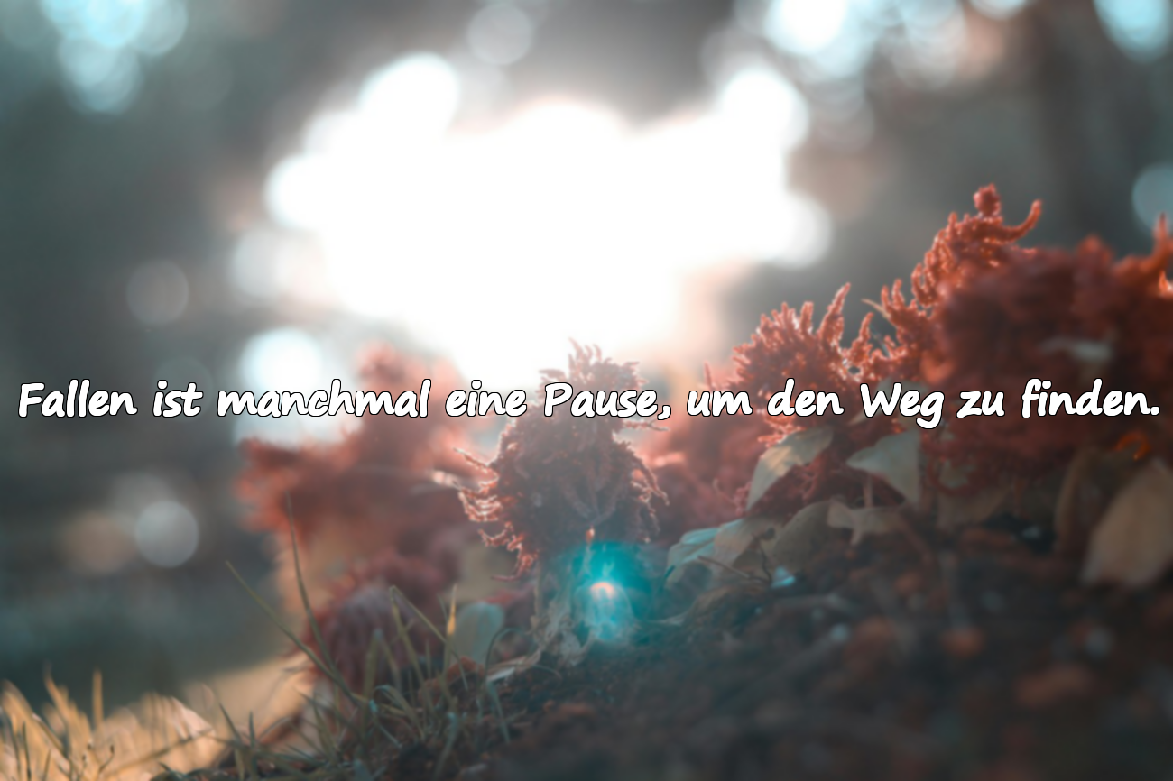 Mehr Zitate über das Fallen