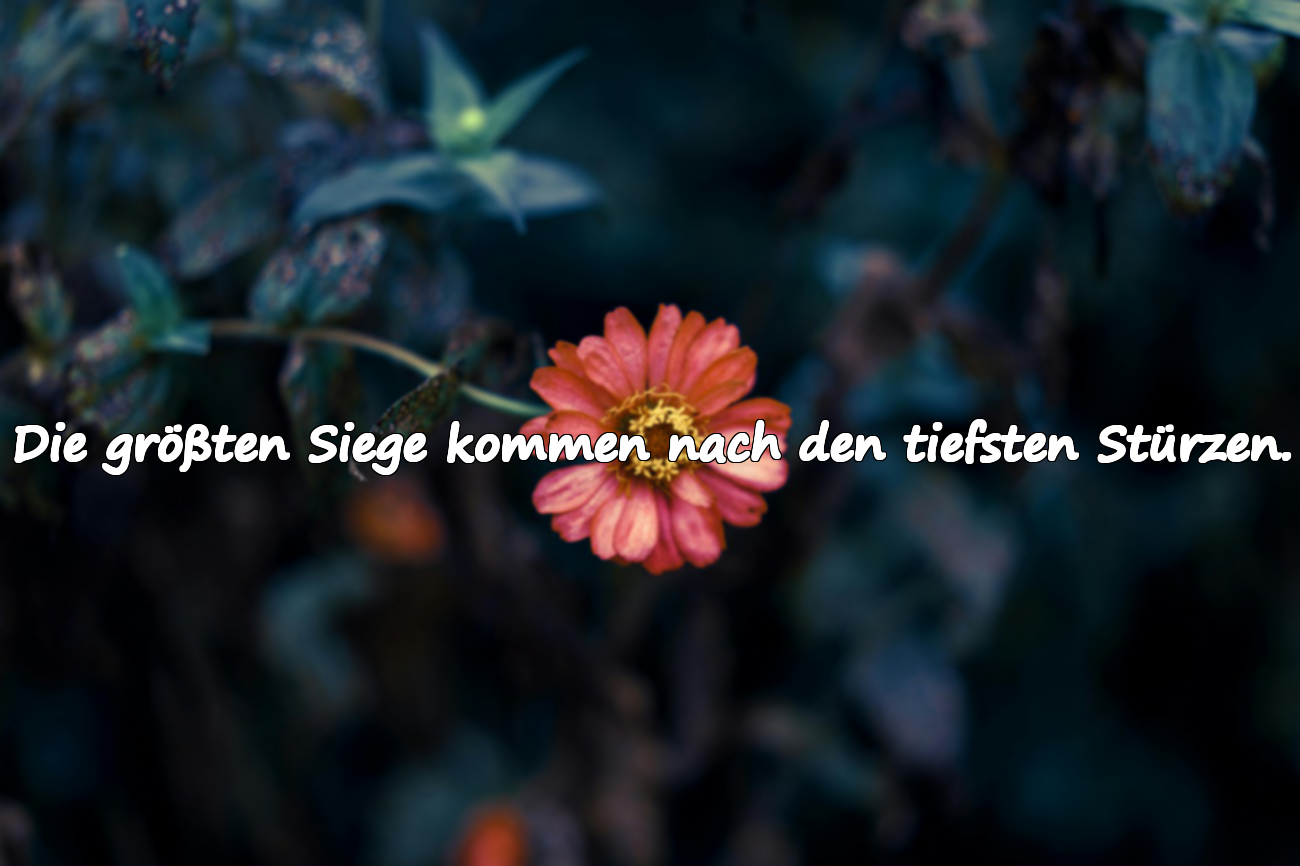 Mehr Zitate über das Fallen