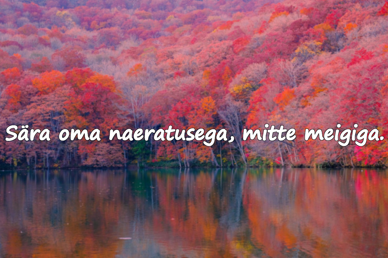 Meigi tsitaadid