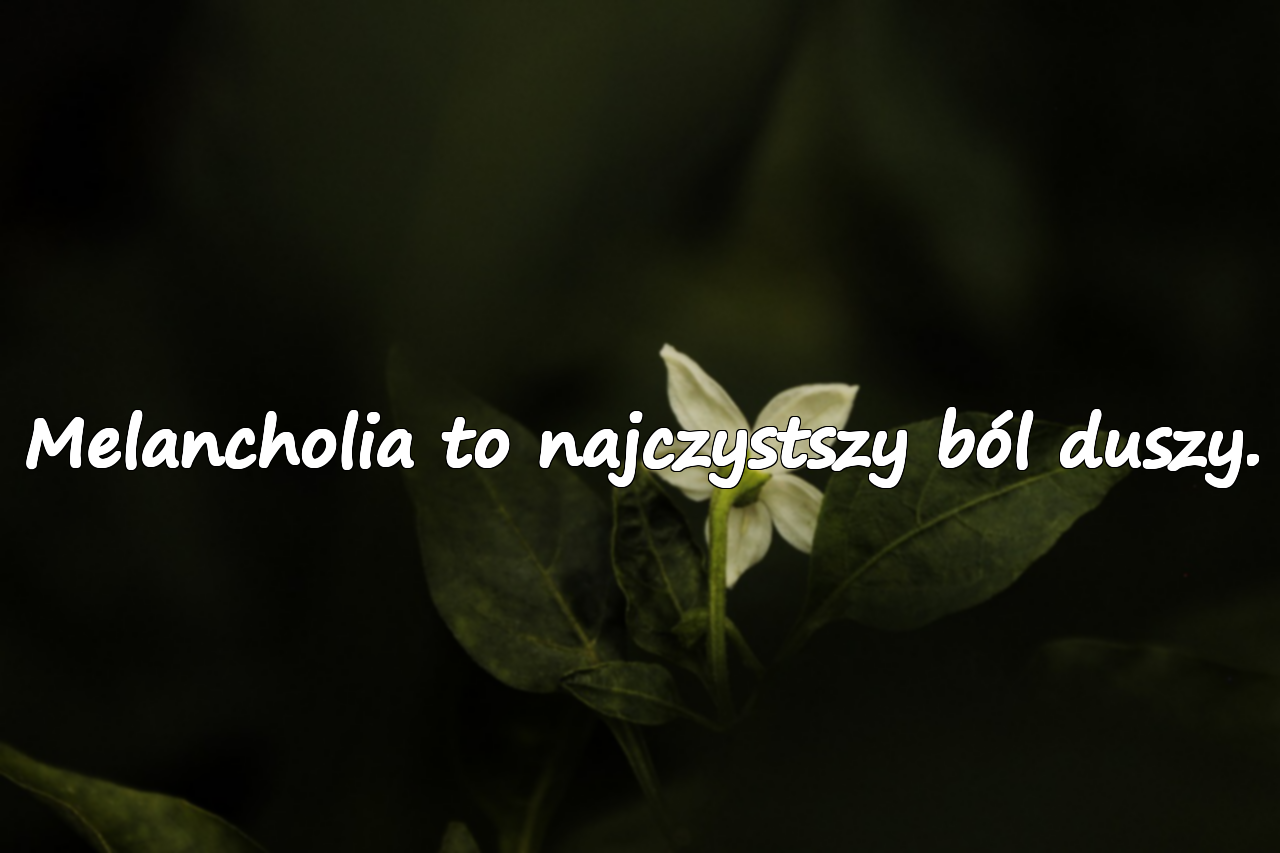 Melancholijne Słowa