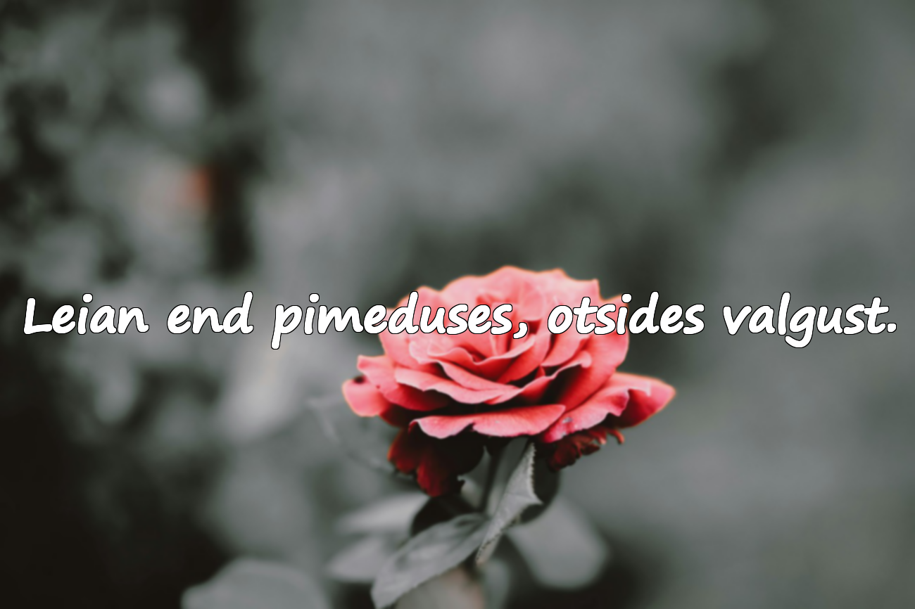 Leian end pimeduses, otsides valgust.