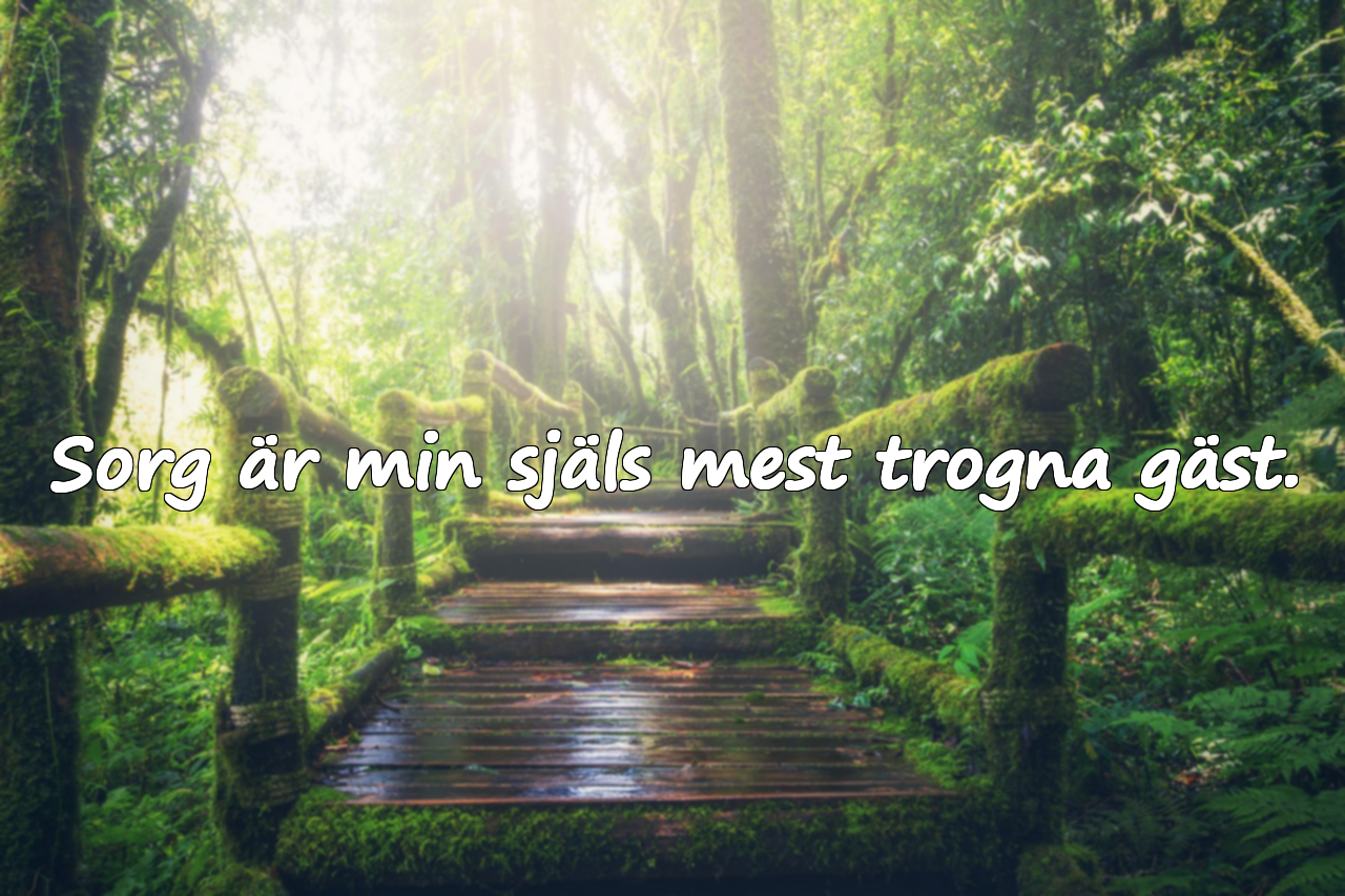 Sorg är min själs mest trogna gäst.