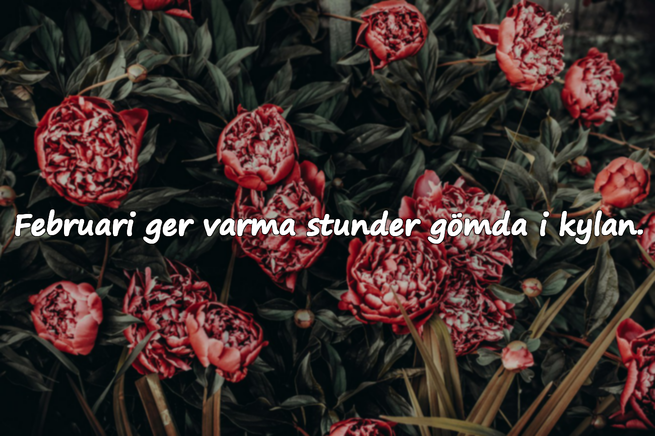 Meningsfulla Citat om Februari