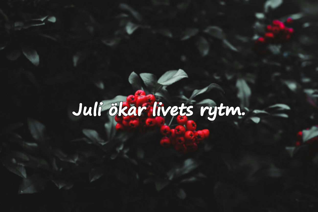 Juli ökar livets rytm.