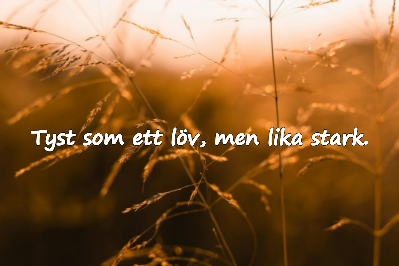 Meningsfulla Citat om Månaden Oktober