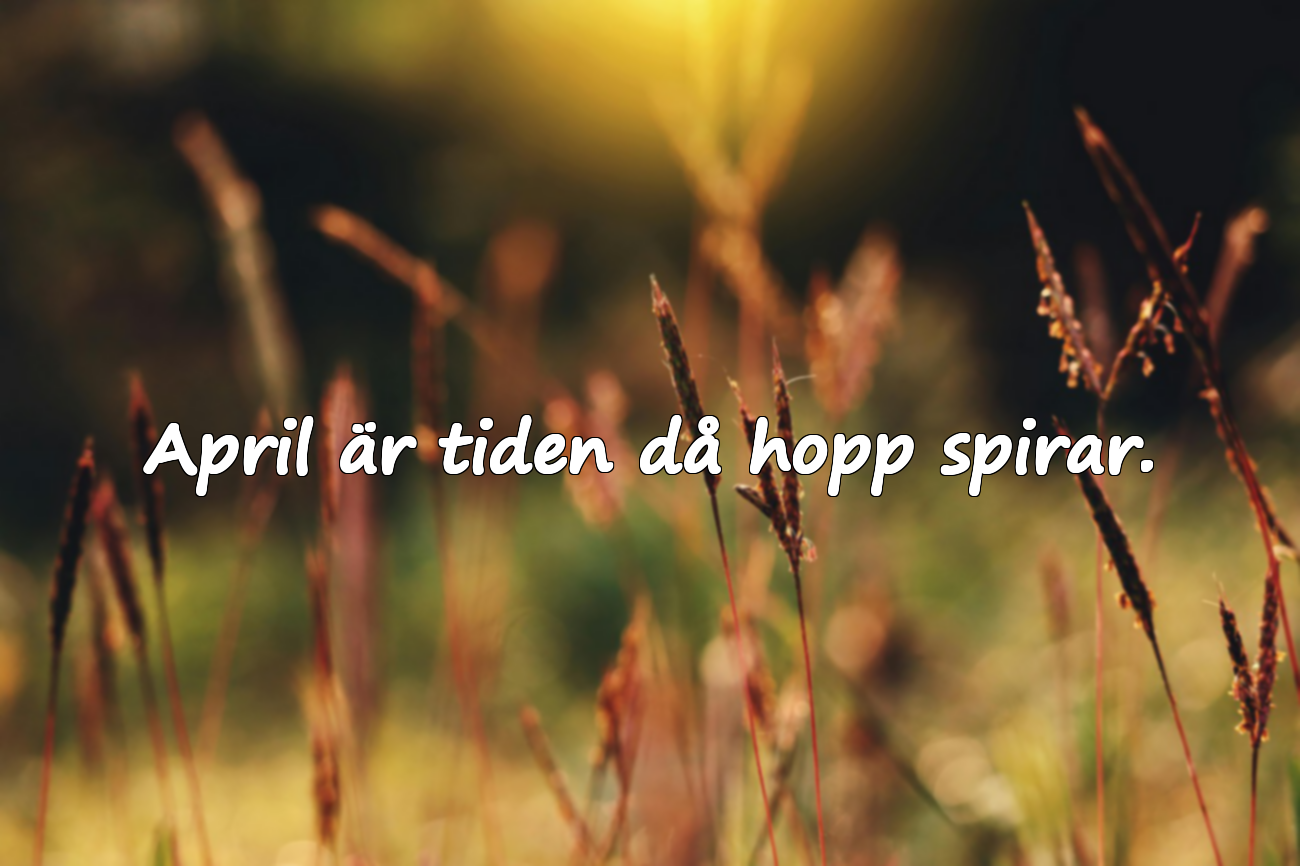Meningsfulla aprilcitat