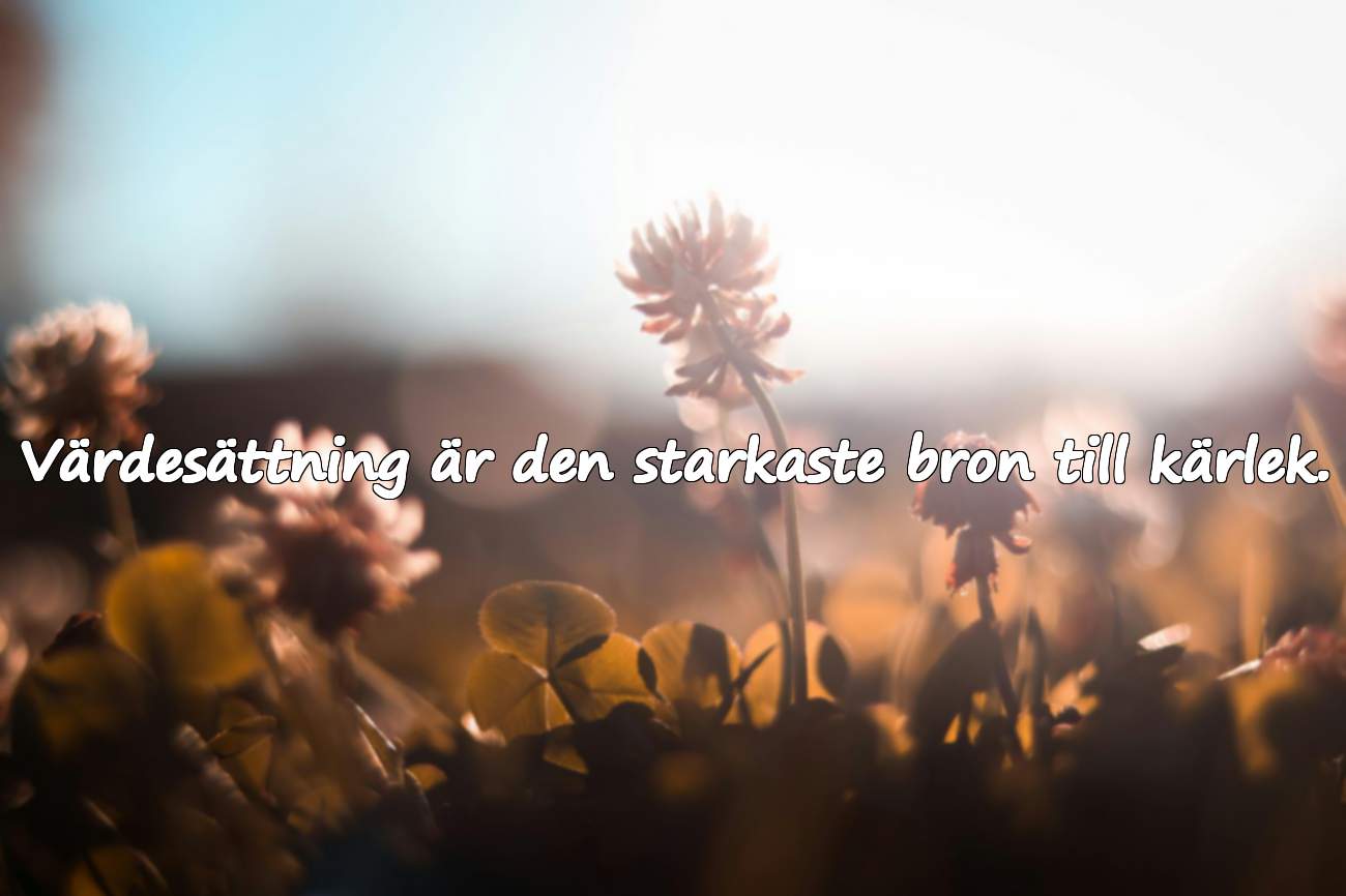 Värdesättning är den starkaste bron till kärlek.