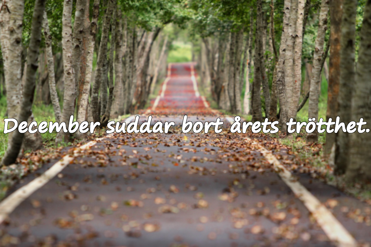 Meningsfulla citat om december