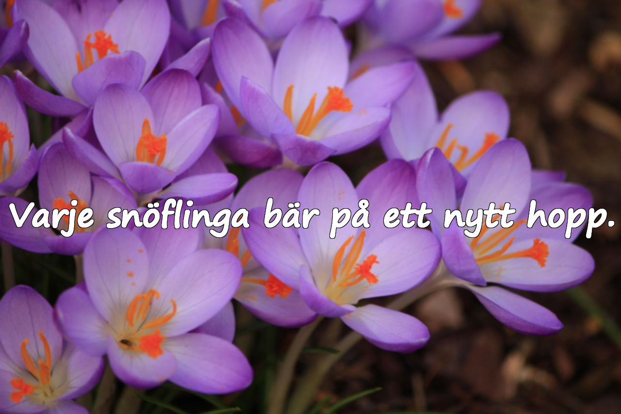 Meningsfulla citat om december