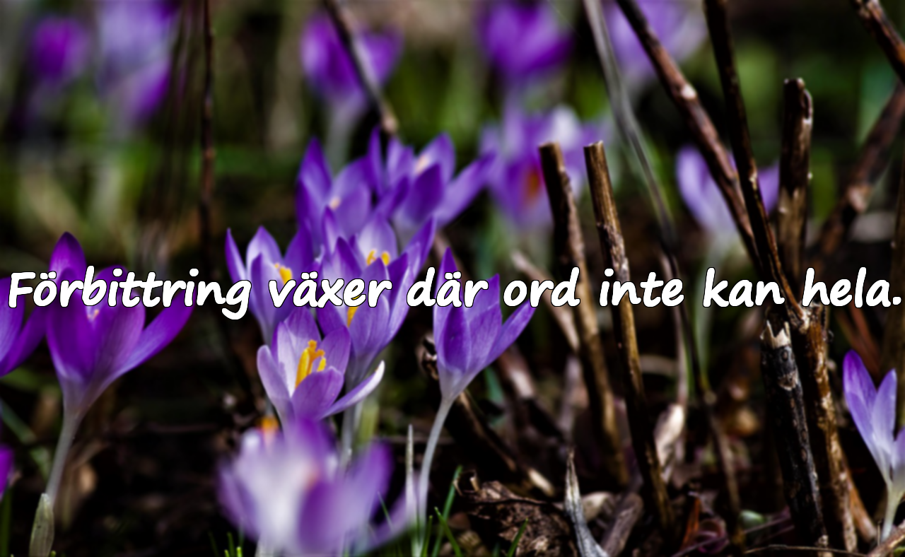 Meningsfulla citat om förbittring och ilska
