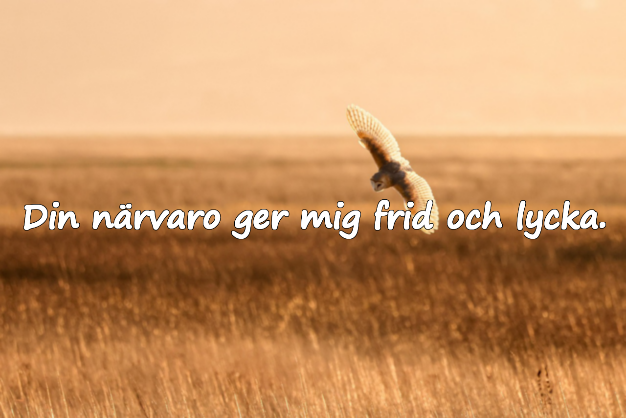Meningsfulla citat om mamma