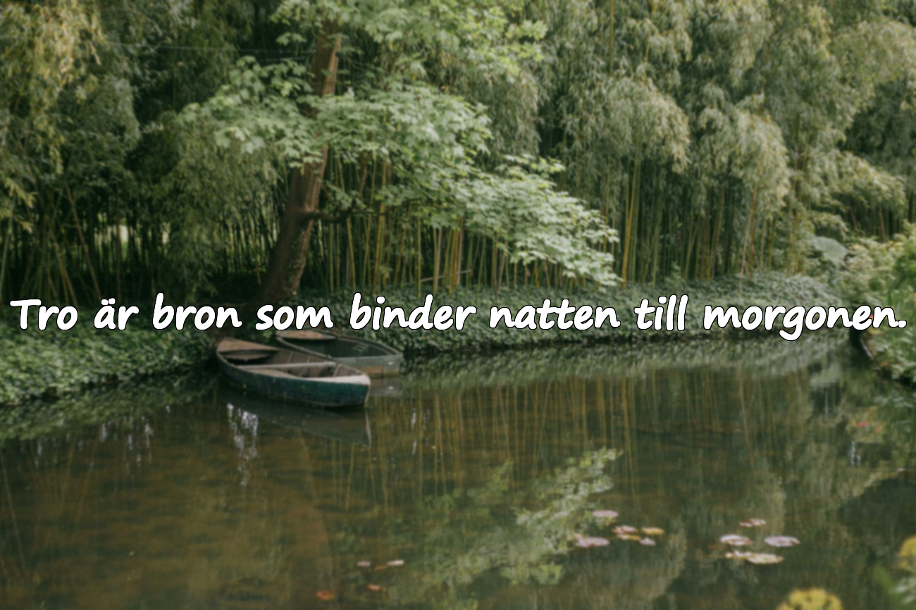 Meningsfulla citat om natten