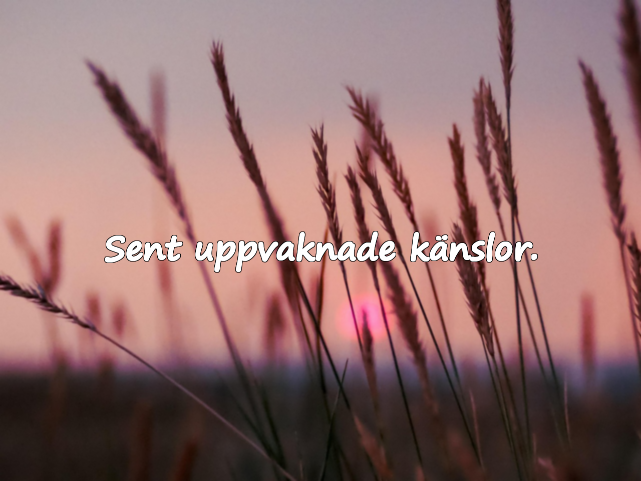Meningsfulla citat om september