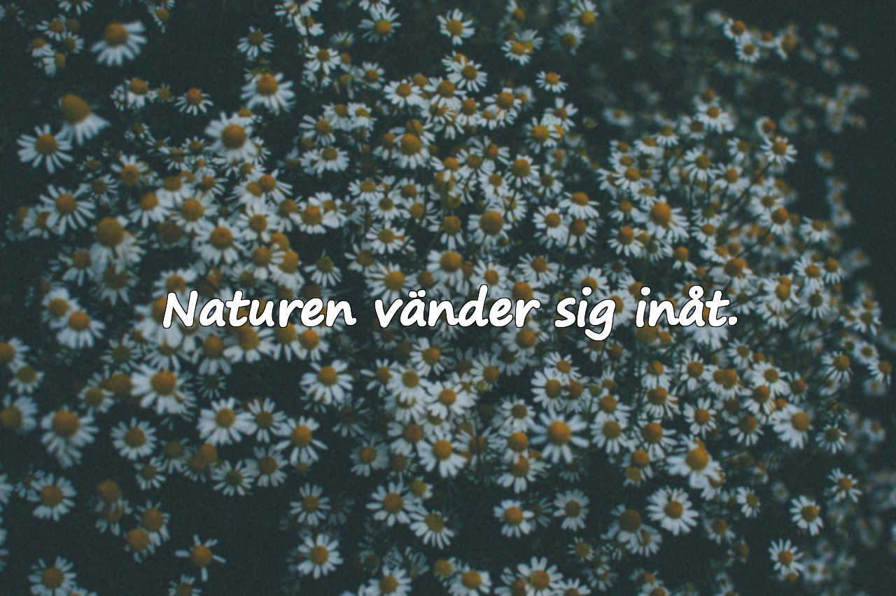 Meningsfulla citat om september