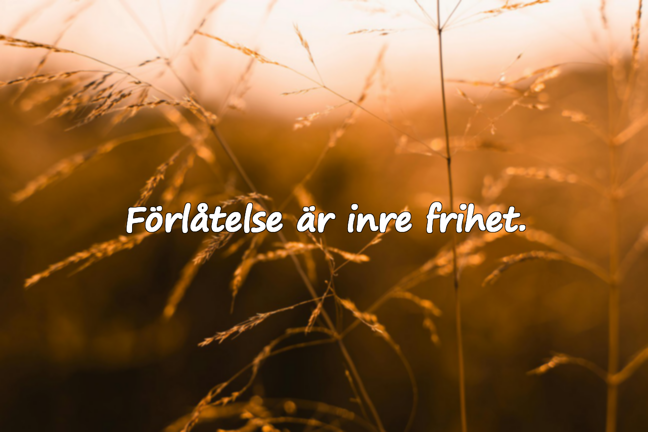 Meningsfulla och känslosamma ord om förlåtelse