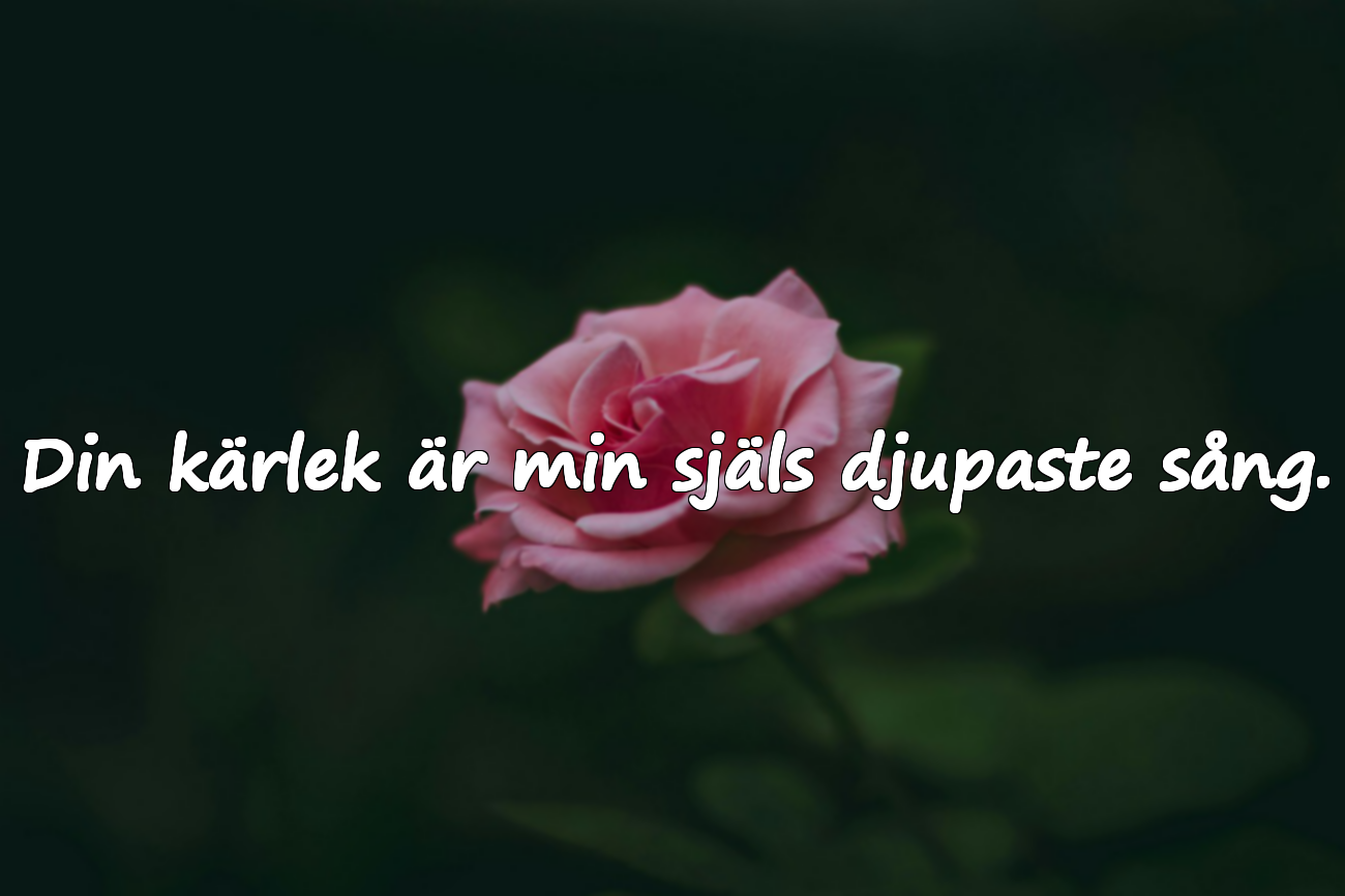 Meningsfulla vackra ord till min hustru