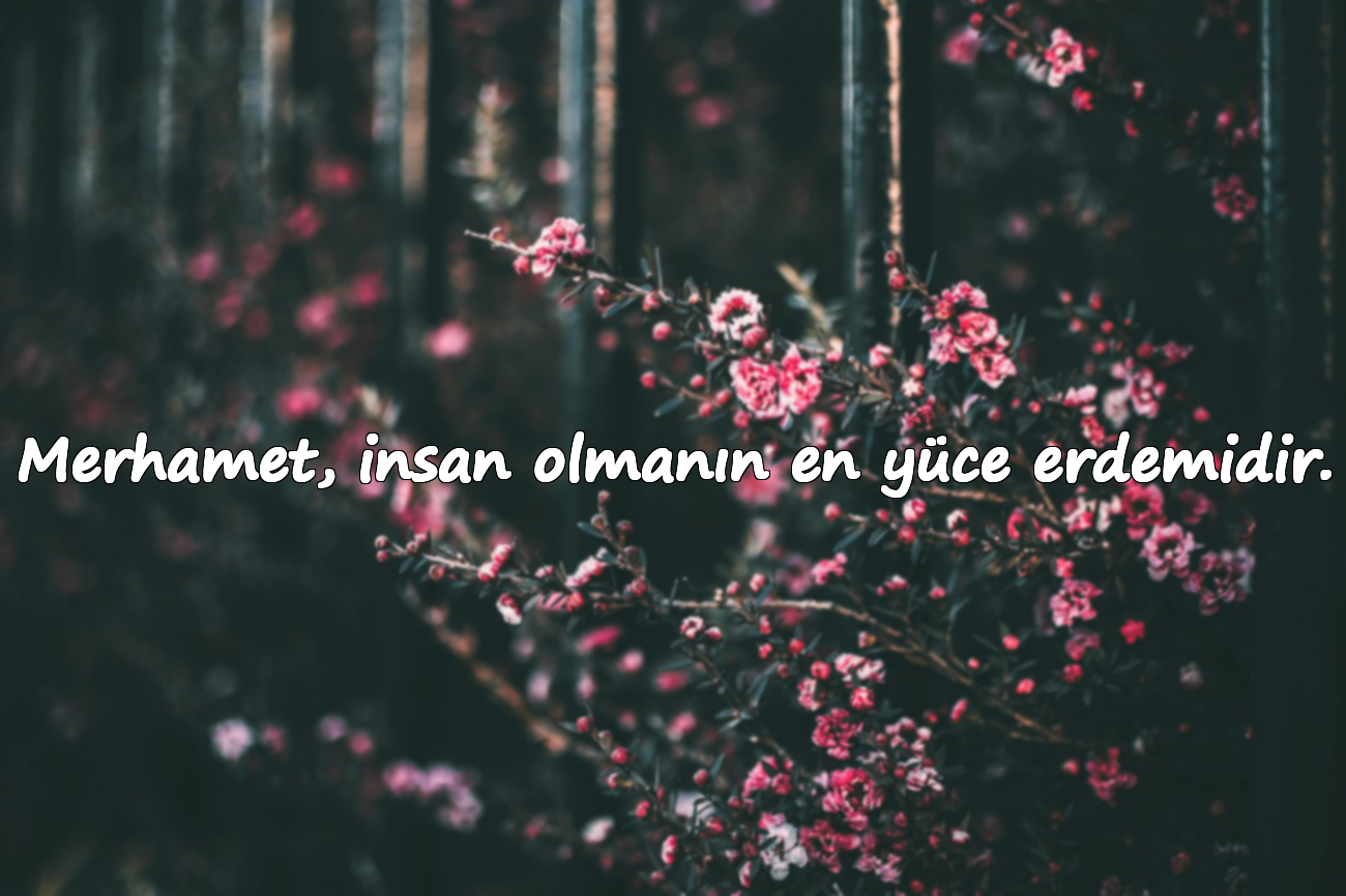 Merhamet, insan olmanın en yüce erdemidir.