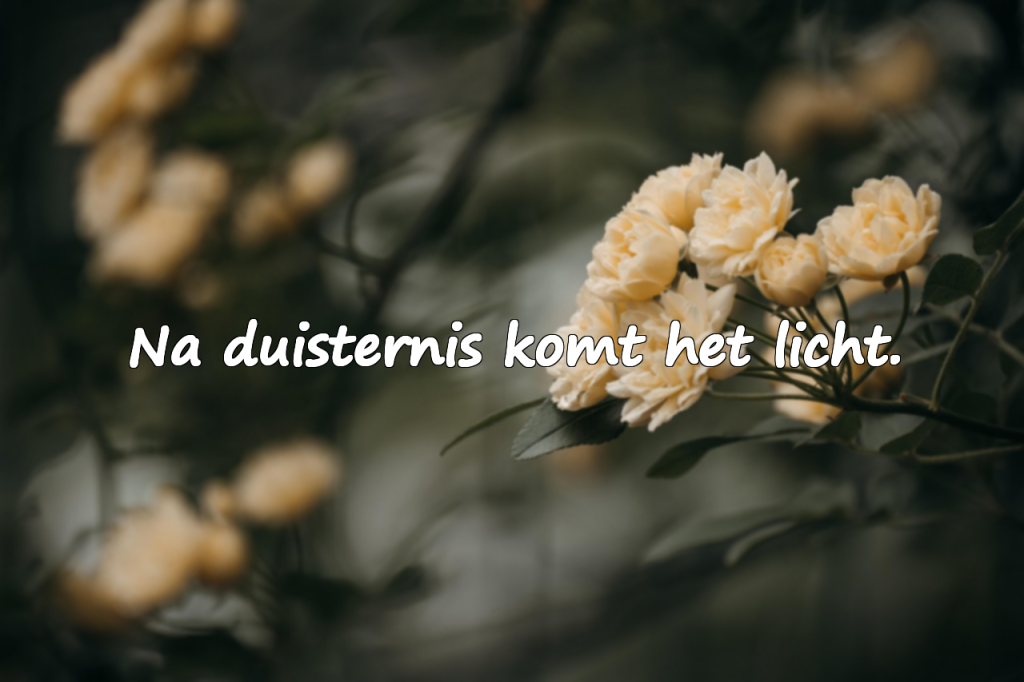 Moeilijkheden – Diepe en positieve citaten over levensuitdagingen