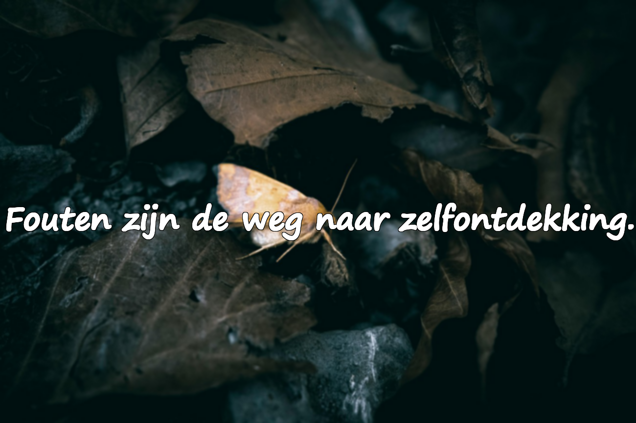 Mooie citaten over fouten