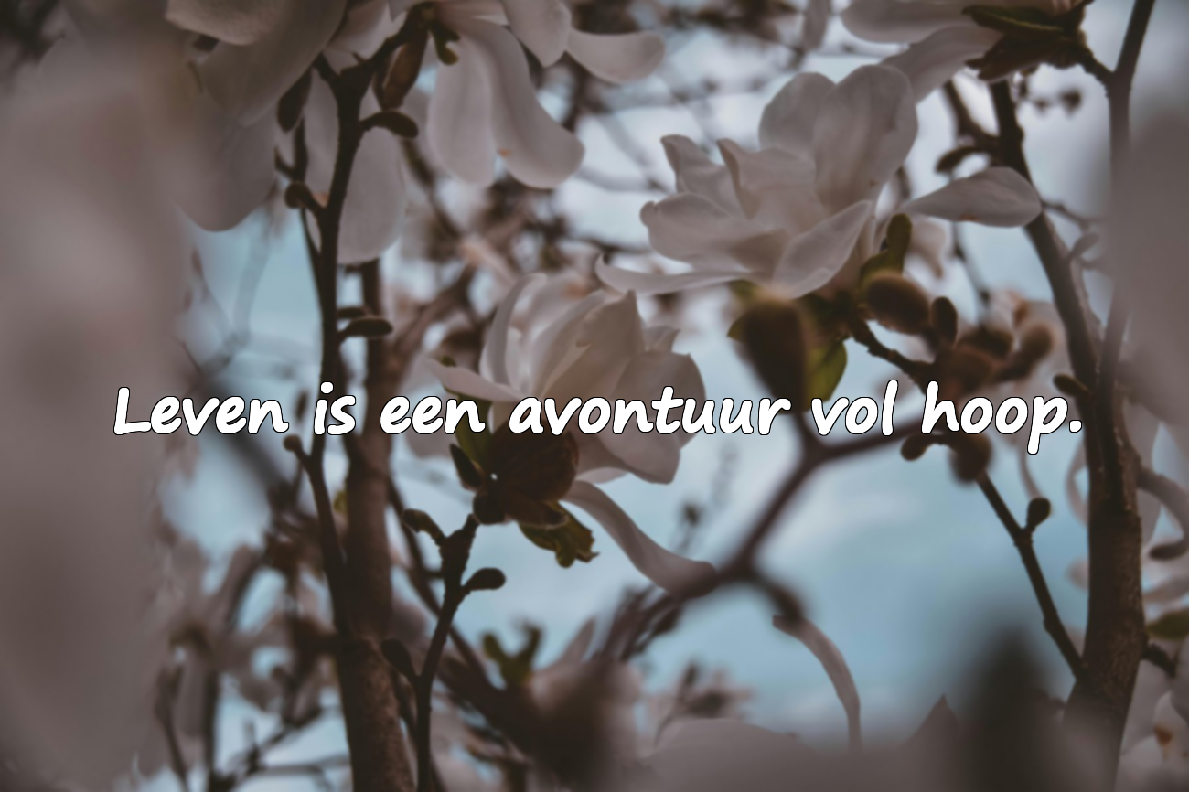 Mooie citaten over het leven