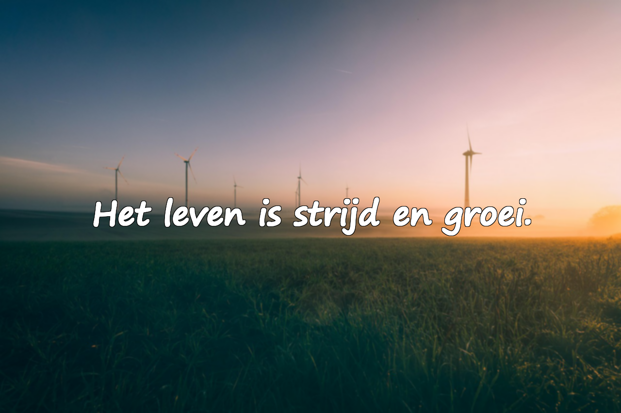 Mooie citaten over het leven