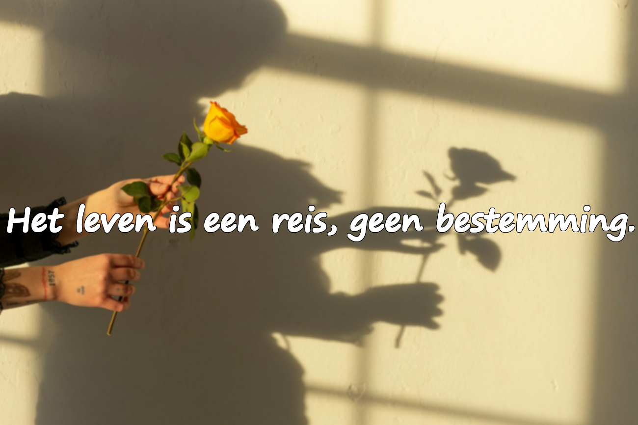 Mooie citaten over het leven