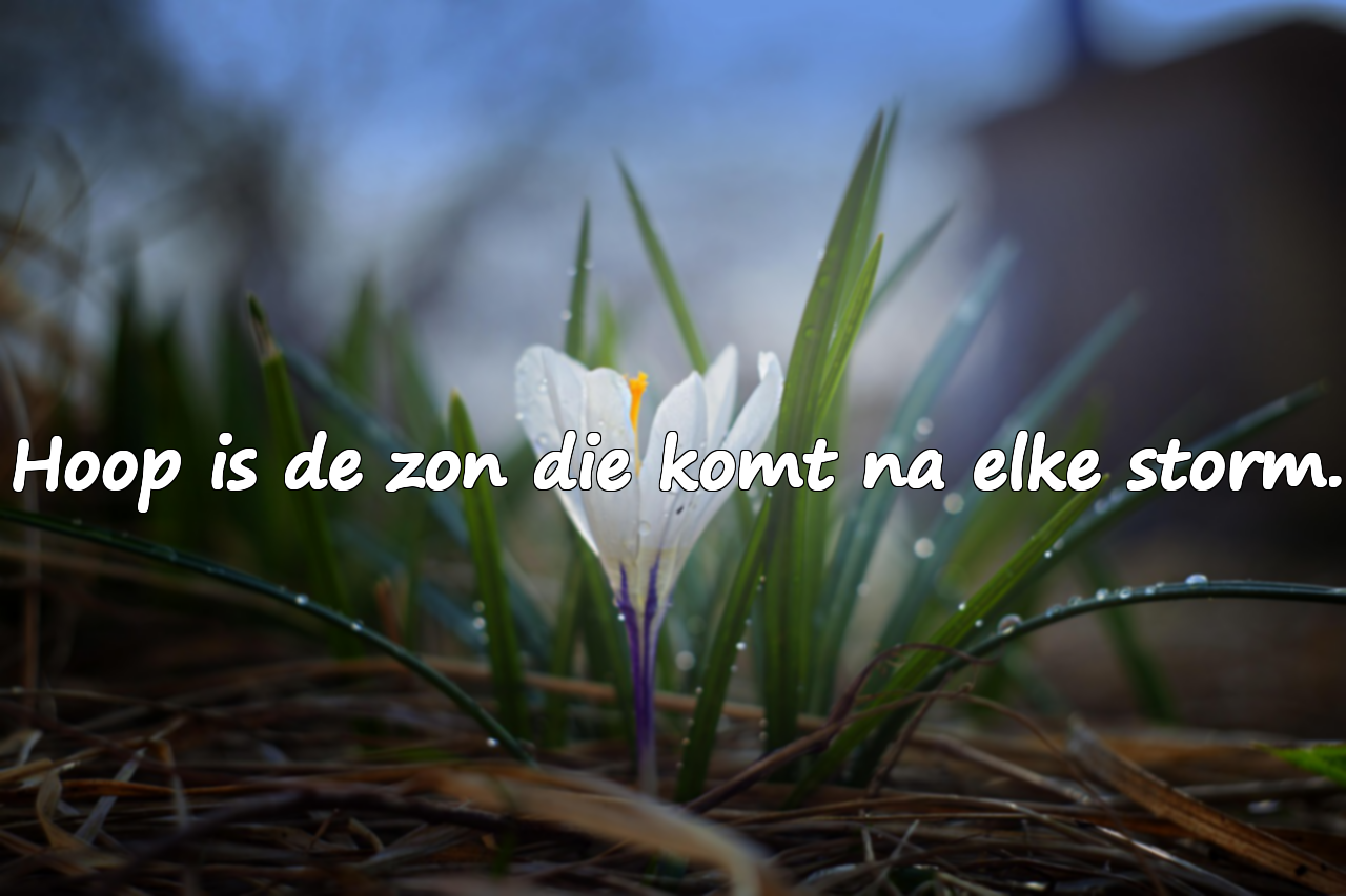 Mooie citaten over hoop
