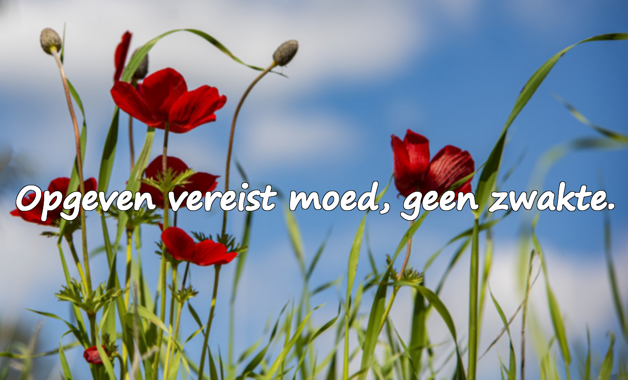 Mooie citaten over opgeven