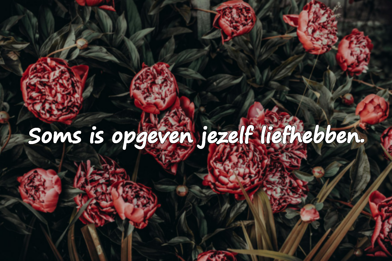 Mooie citaten over opgeven