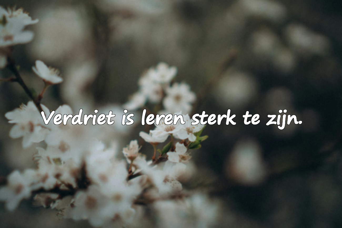 Mooie citaten over verdriet