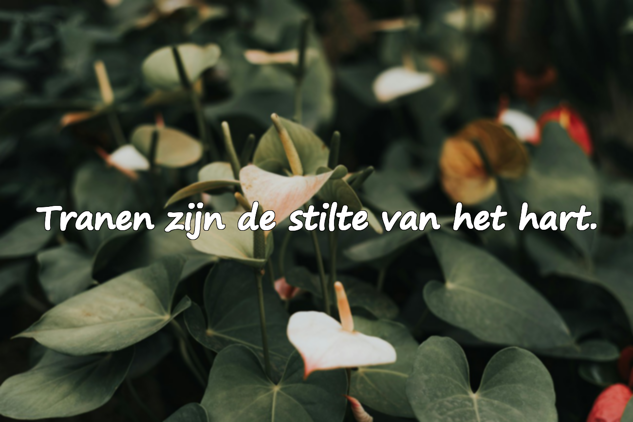 Mooie citaten over verdriet