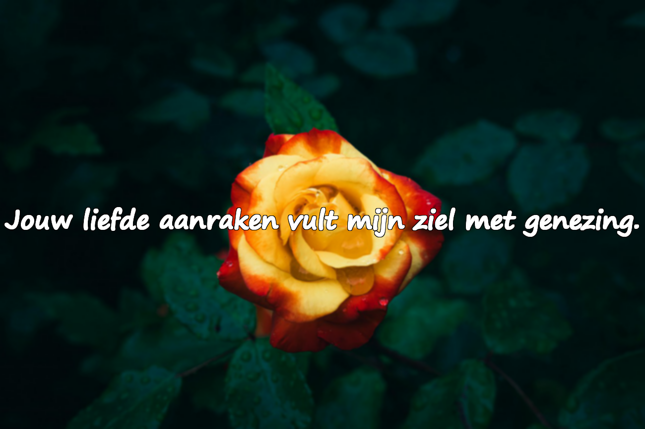 Mooie en betekenisvolle woorden voor echtgenoten