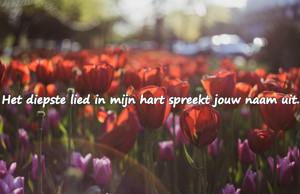 Mooie en betekenisvolle woorden voor echtgenoten