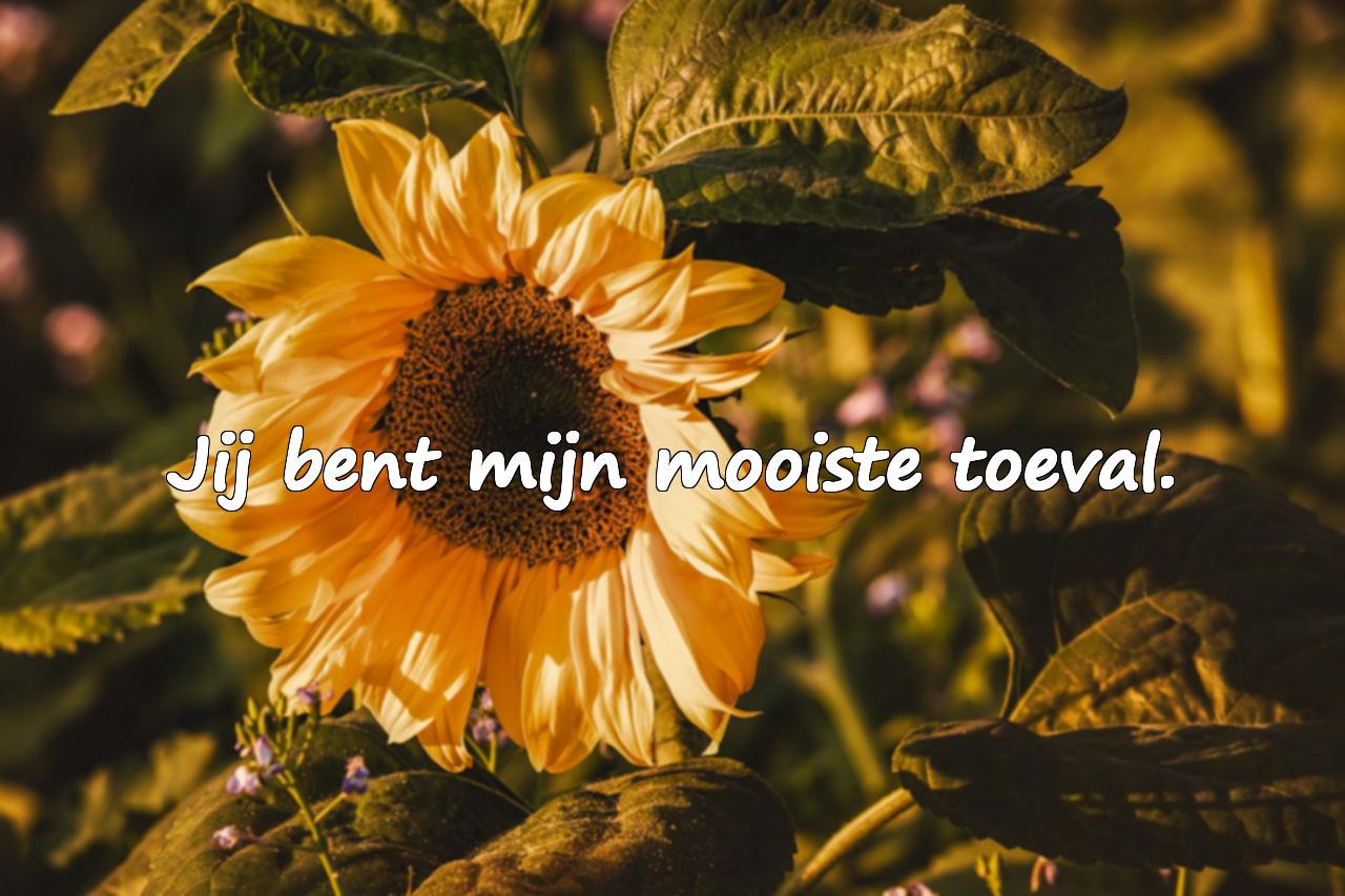 Mooie woorden voor je echtgenoot