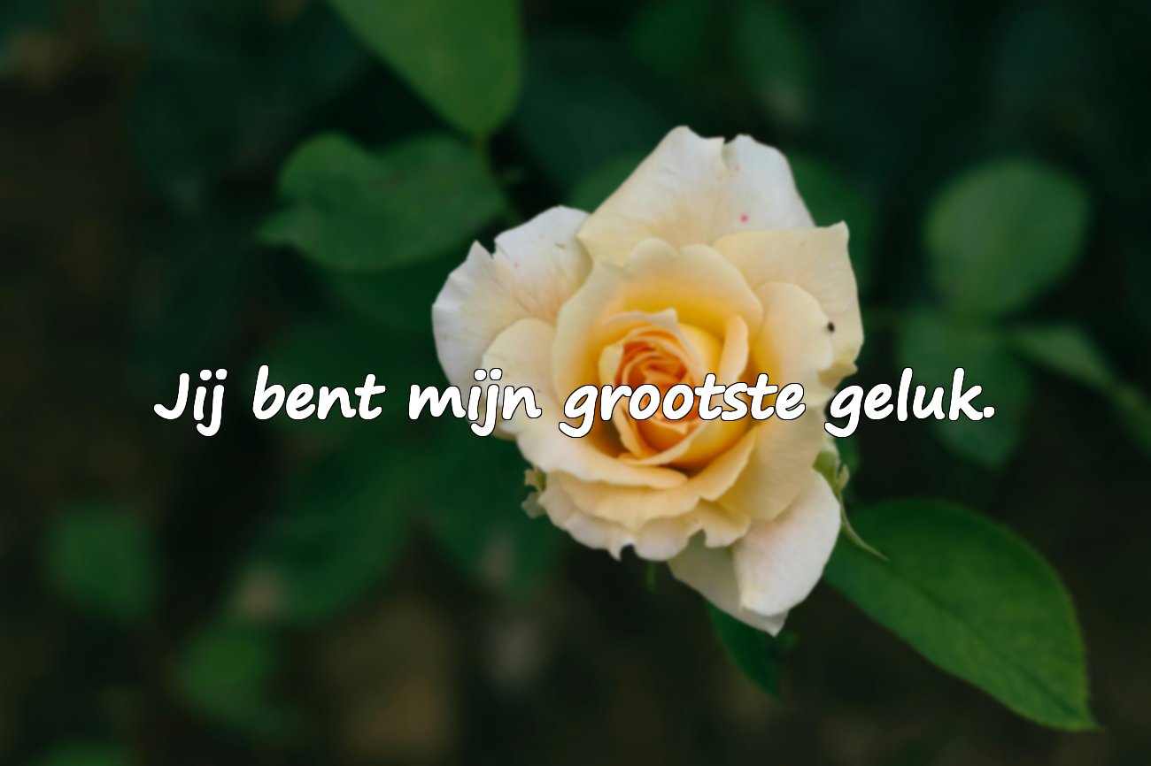 Mooie woorden voor je echtgenoot